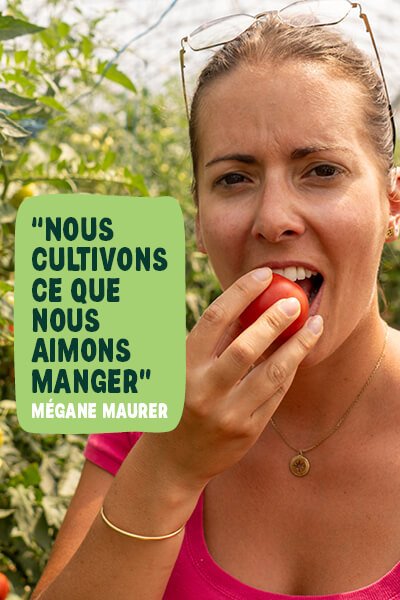 megane-maurer-tomates