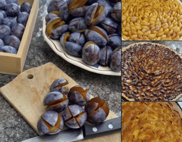 quetsches-mirabelles