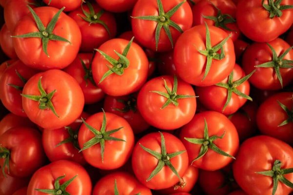 tomates (1)