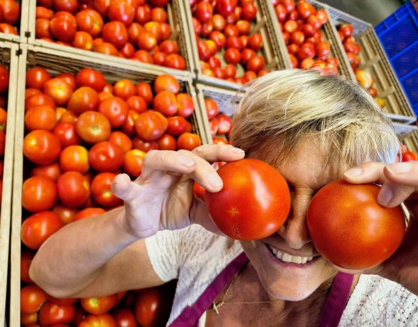 tomates (2)