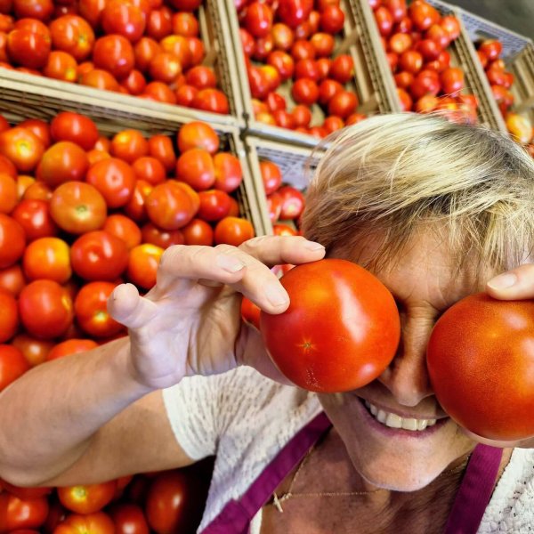 tomates (2)