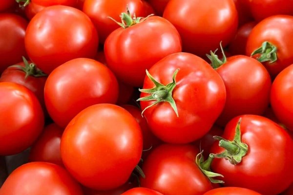 tomates (2)